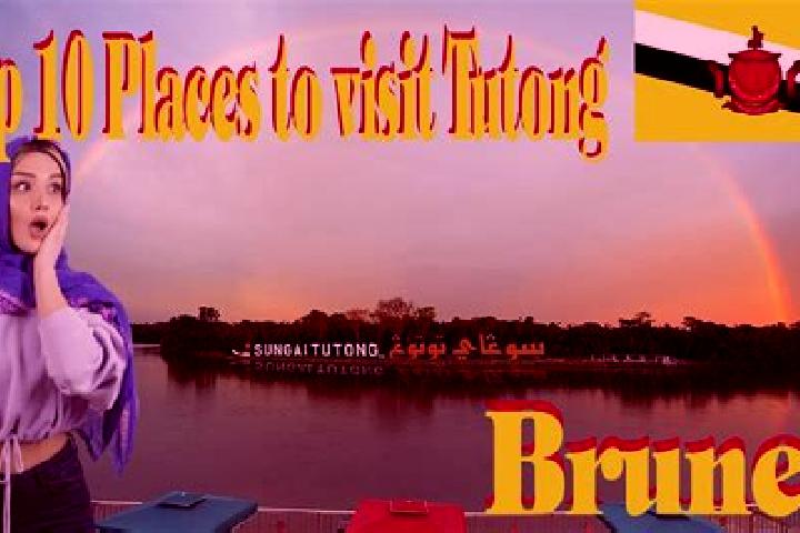 Bamboo Bear Deluxe slot