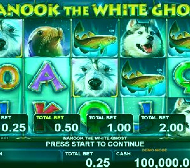 Bicho Da Sorte 25 slot game