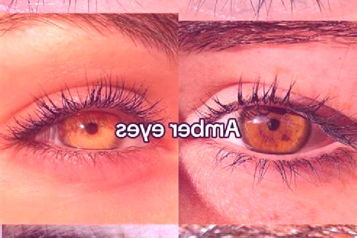 Go! Fishing: Reelin Fortunes slot machine