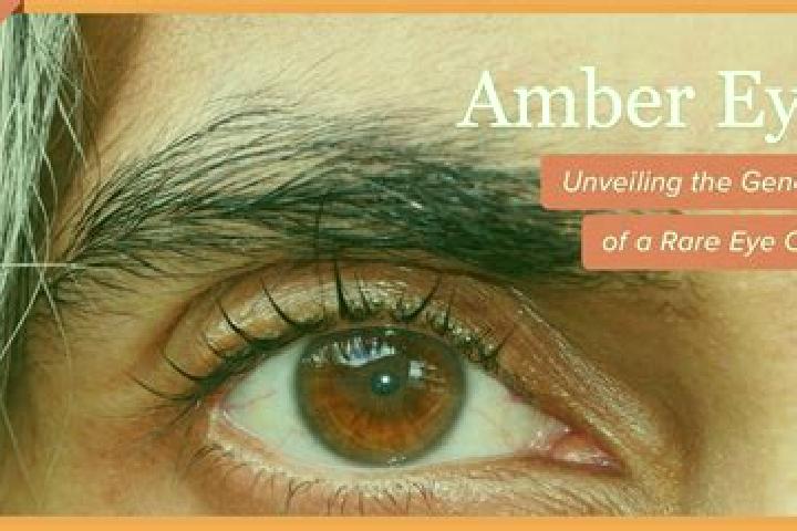 Haunted Coins X1000 online slot