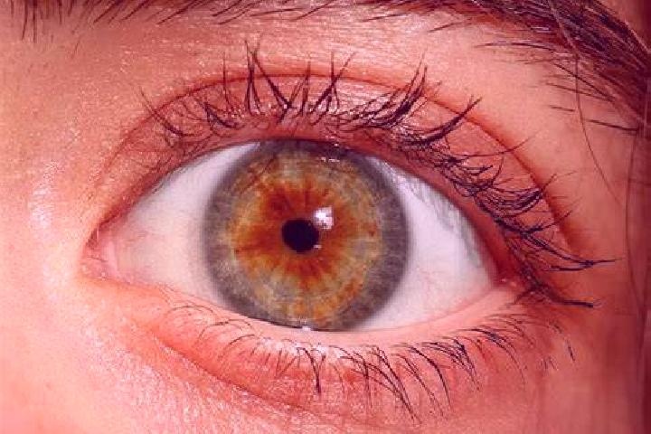 Keno Fast slot