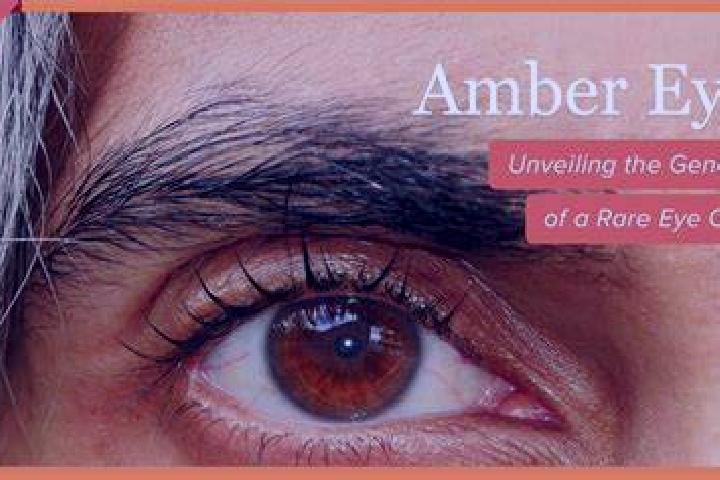 Lord of the Ocean Magic slot game