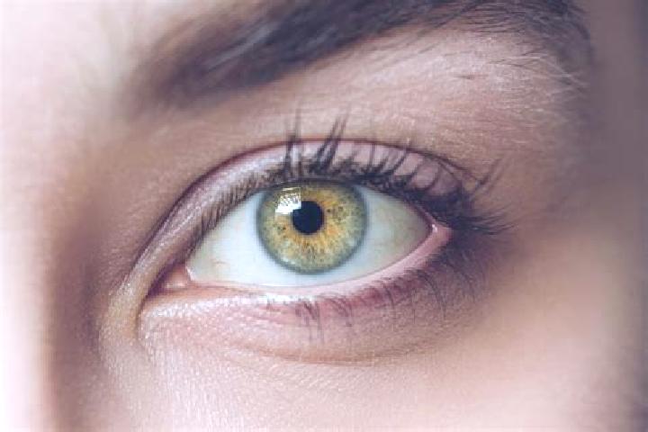 Mega Fishing (TaDa Gaming) online slot