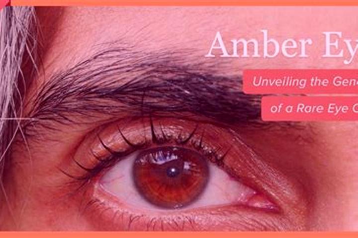 Mythic Fortune slot game