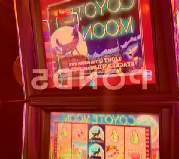 Pilgrim of Dead slot game