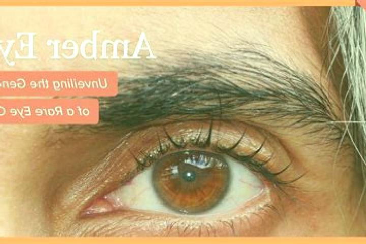 Sushi Swap slot