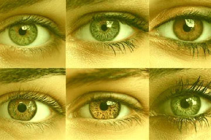 The Big Dog House slot machine
