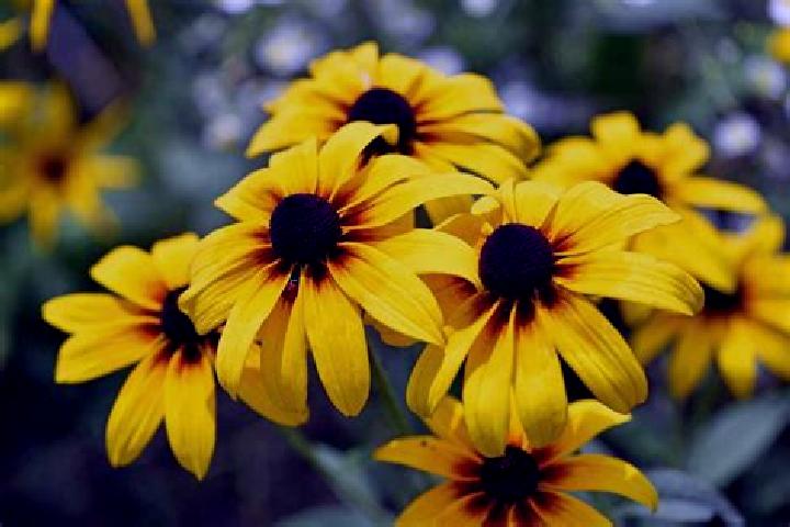 Theatre of Rome online slot