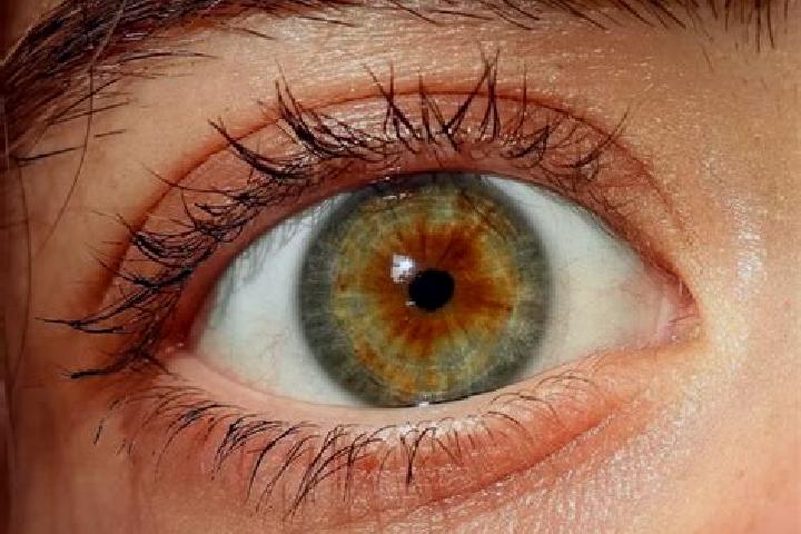 Treasure Coast online slot