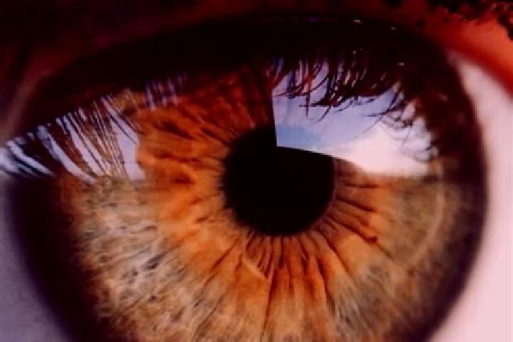 Versailles Gold (EGT Digital) online slot